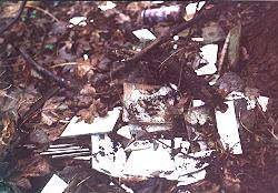 Müll - Herbstkehraus 2003