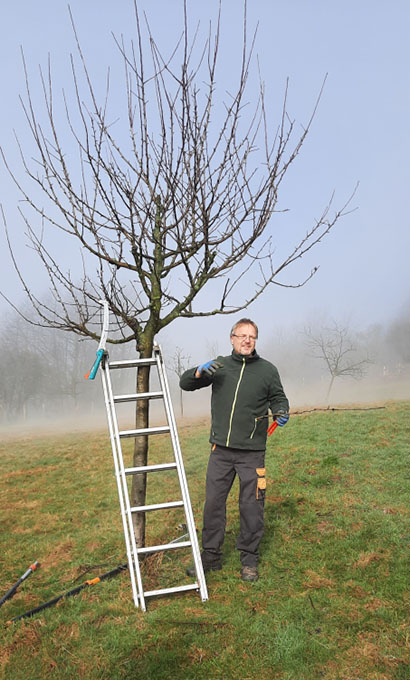 Sebanstian Ernst erklärt wie der richtige Obstbaumschnitt funktioniert.