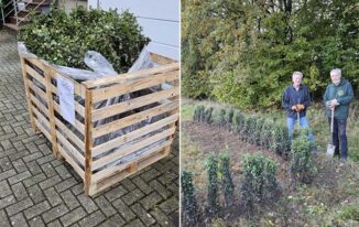 Anlieferung auf einer Palette. Bernd Wilmes und Michael Treimer „parken“ die Stecklinge Foto: © Peter Stark