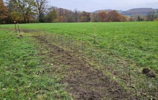 Die erste Doppelreihe ist fertig