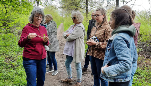 Dr. Britta Kuntz erläutert den Teilnehmern der Kräuterwanderung essbare Wildkräuter und deren Verwendungsmöglichkeiten in der Küche.