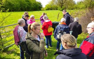 Teilnehmer der Kräuterwanderung erkunden unter fachkundiger Anleitung essbare Wildpflanzen
