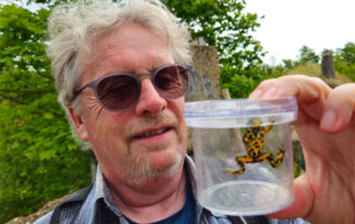 Detlev Adler zeigt eine Gelbbauchunke