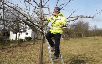 Sebastian Ernst zeigt auf Obstbaumschnitt-Seminar am Brunnen, wie Obstbäume richtig geschnitten werden.